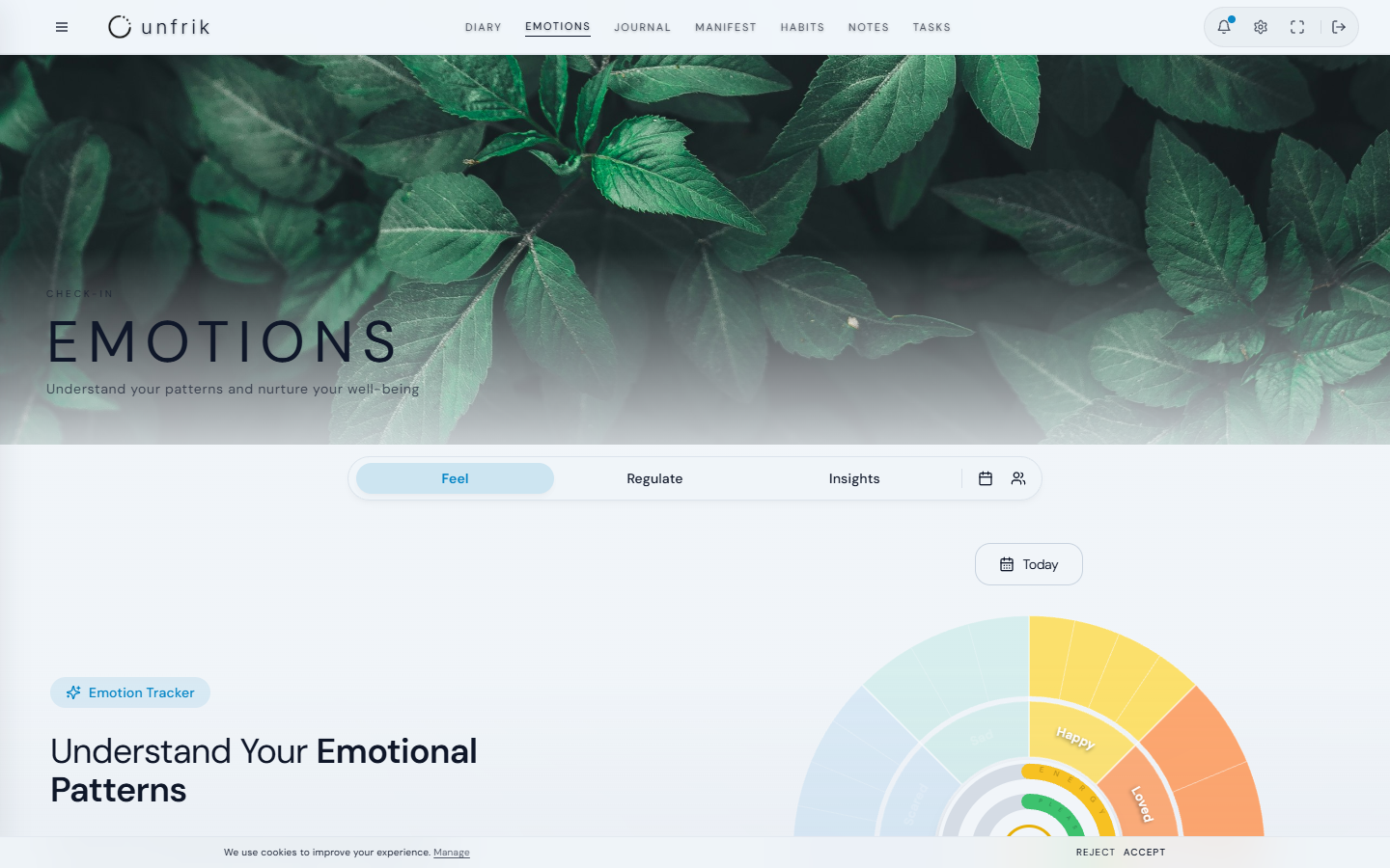 Emotional Regulation